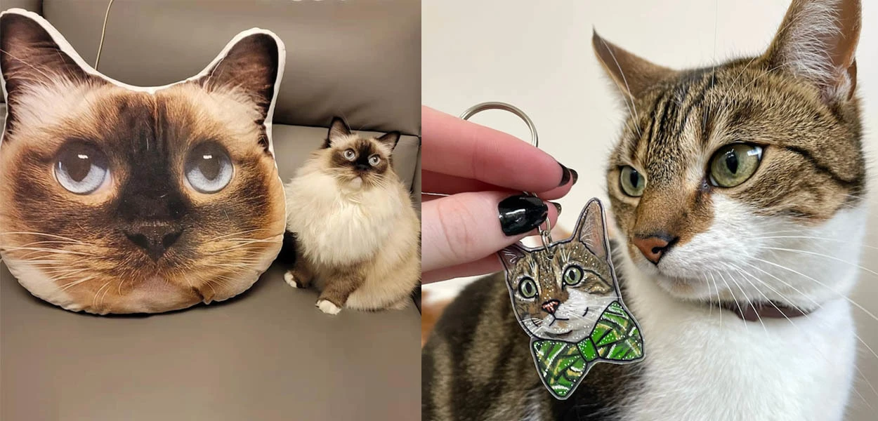 I migliori regali personalizzati per il tuo gatto in occasione della Giornata Internazionale del Gatto