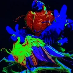 Inchiostro per sublimazione HD-NEON