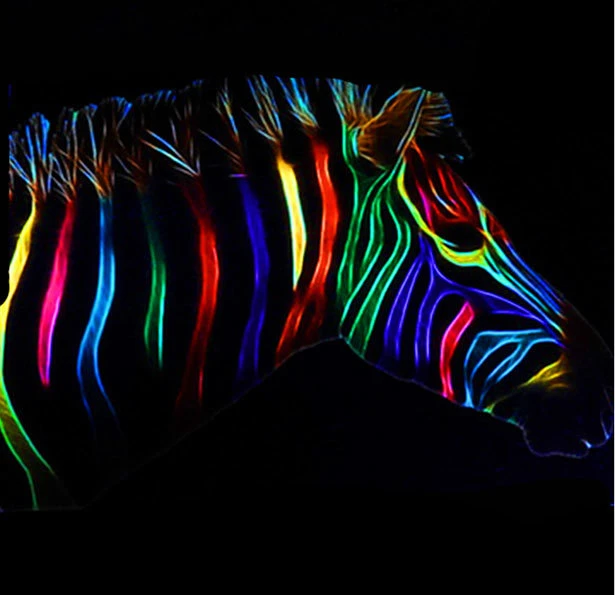 Inchiostro fluorescente PRO DTF