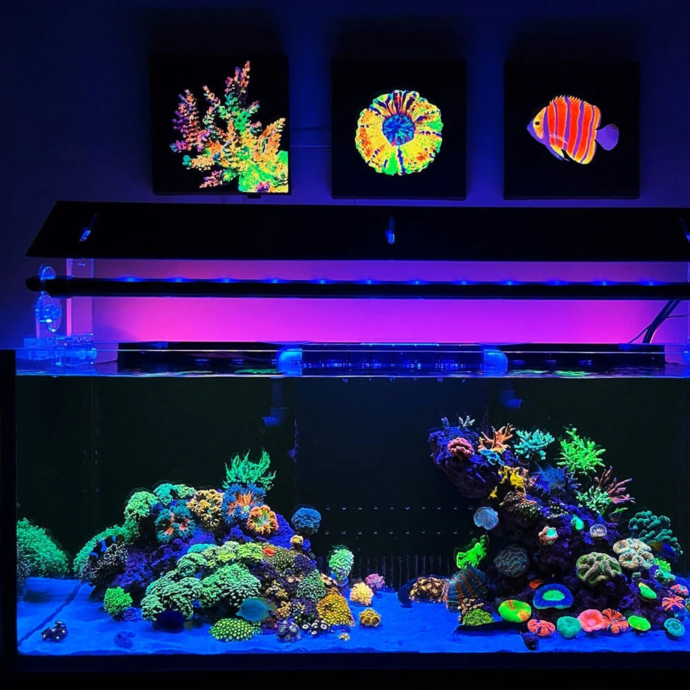 Inchiostro fluorescente UV