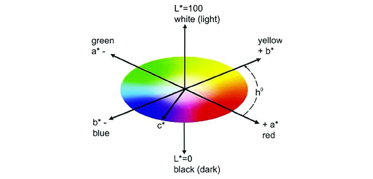 Padroneggiare la precisione del colore nella stampa a getto d'inchiostro: comprendere ICC, RGB, CMYK, HSB e Lab